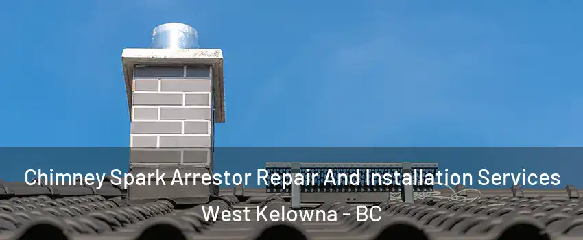  Chimney Spark Arrestor Repair And Installation Services West Kelowna - BC