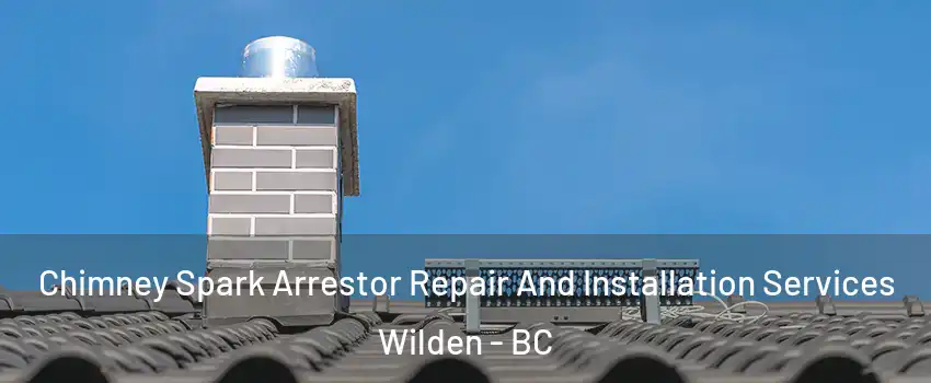  Chimney Spark Arrestor Repair And Installation Services Wilden - BC