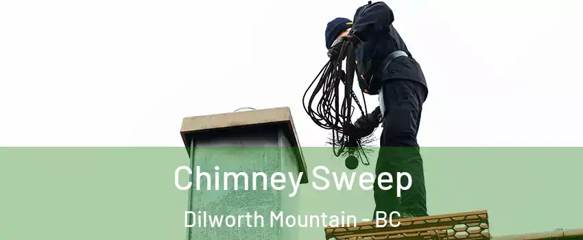  Chimney Sweep Dilworth Mountain - BC