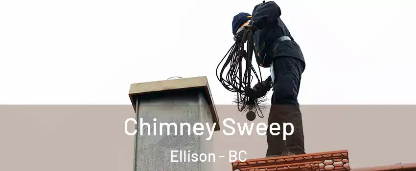  Chimney Sweep Ellison - BC