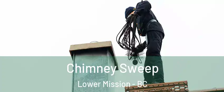  Chimney Sweep Lower Mission - BC