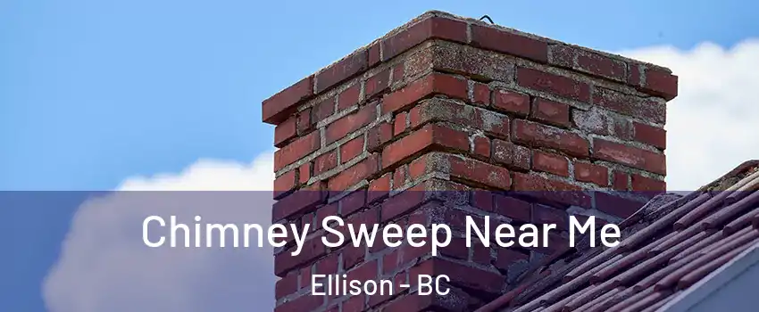  Chimney Sweep Near Me Ellison - BC