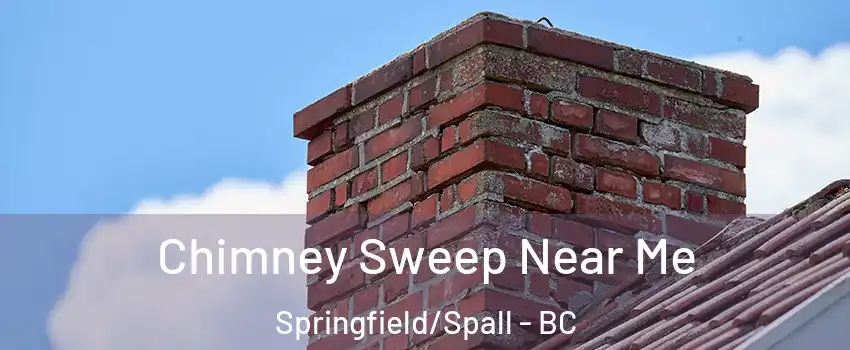  Chimney Sweep Near Me Springfield/Spall - BC