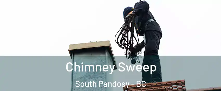  Chimney Sweep South Pandosy - BC
