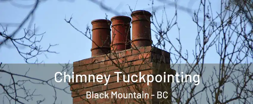  Chimney Tuckpointing Black Mountain - BC