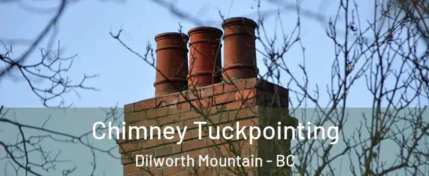  Chimney Tuckpointing Dilworth Mountain - BC