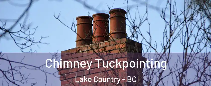  Chimney Tuckpointing Lake Country - BC