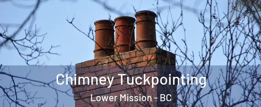  Chimney Tuckpointing Lower Mission - BC