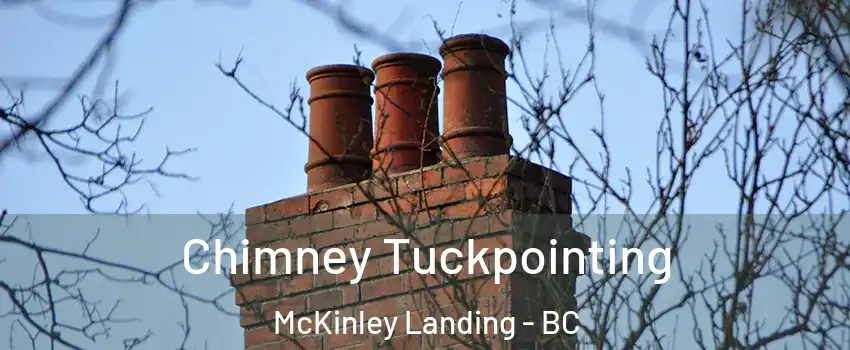  Chimney Tuckpointing McKinley Landing - BC