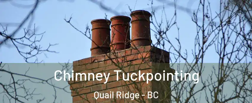  Chimney Tuckpointing Quail Ridge - BC
