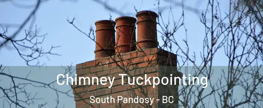  Chimney Tuckpointing South Pandosy - BC