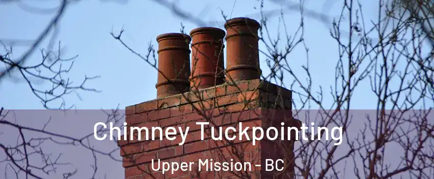  Chimney Tuckpointing Upper Mission - BC