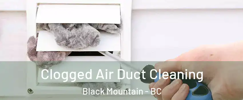  Clogged Air Duct Cleaning Black Mountain - BC