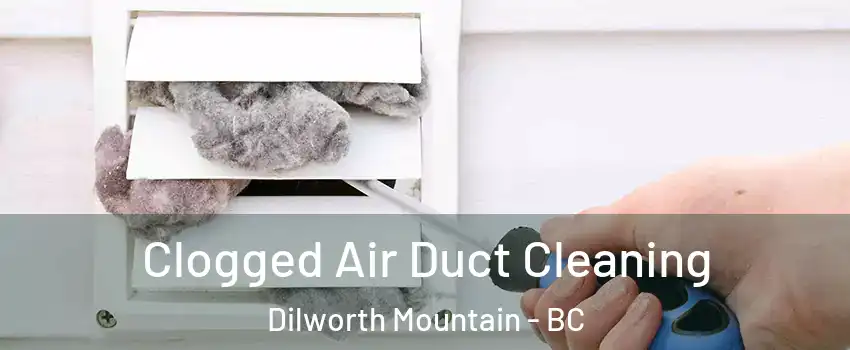  Clogged Air Duct Cleaning Dilworth Mountain - BC
