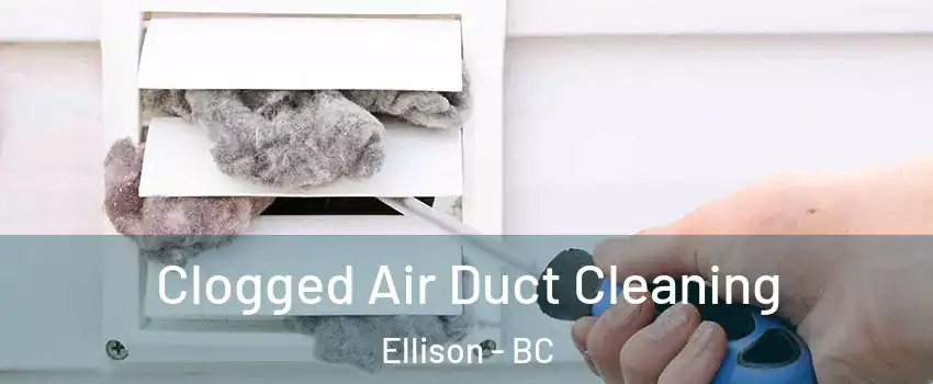  Clogged Air Duct Cleaning Ellison - BC