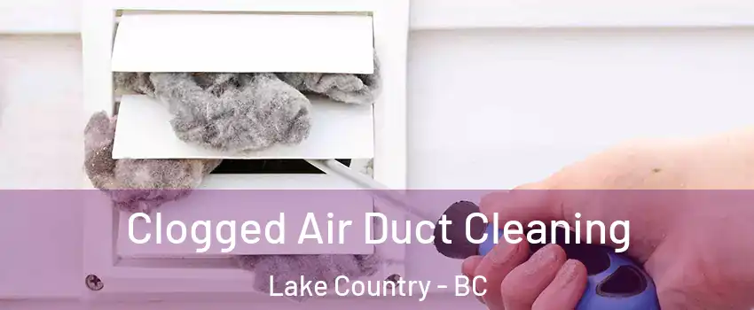  Clogged Air Duct Cleaning Lake Country - BC
