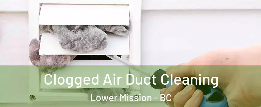  Clogged Air Duct Cleaning Lower Mission - BC
