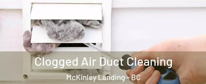  Clogged Air Duct Cleaning McKinley Landing - BC