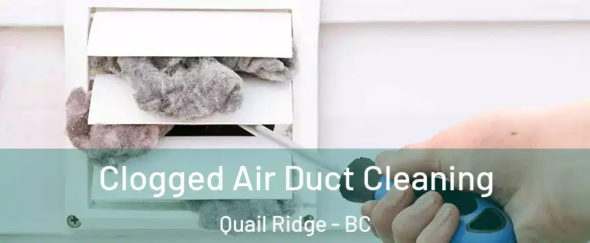  Clogged Air Duct Cleaning Quail Ridge - BC