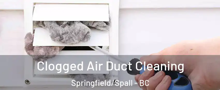  Clogged Air Duct Cleaning Springfield/Spall - BC