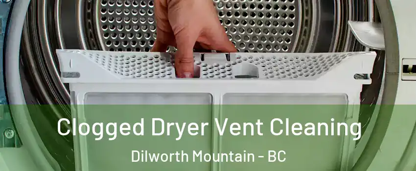  Clogged Dryer Vent Cleaning Dilworth Mountain - BC