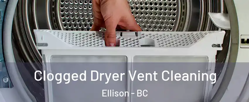  Clogged Dryer Vent Cleaning Ellison - BC