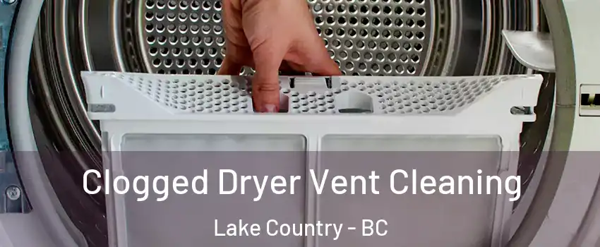  Clogged Dryer Vent Cleaning Lake Country - BC