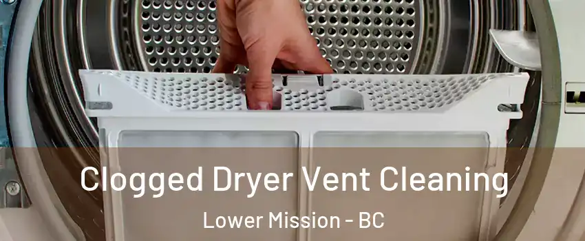  Clogged Dryer Vent Cleaning Lower Mission - BC