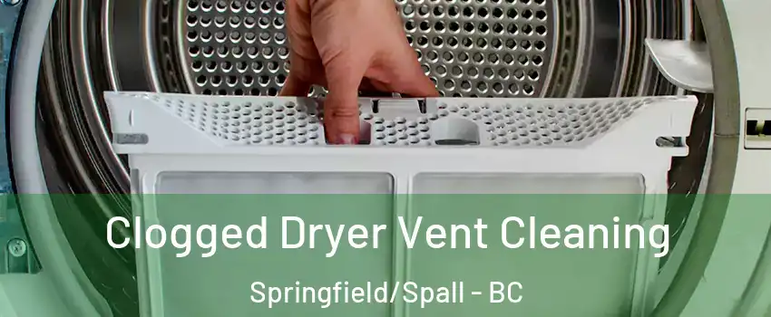  Clogged Dryer Vent Cleaning Springfield/Spall - BC