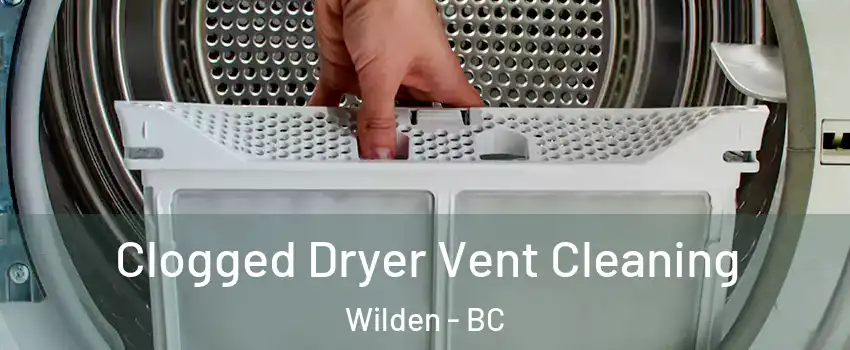  Clogged Dryer Vent Cleaning Wilden - BC