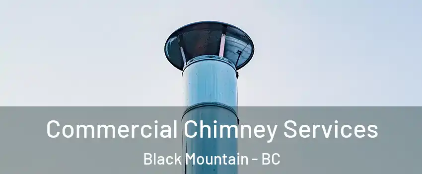  Commercial Chimney Services Black Mountain - BC
