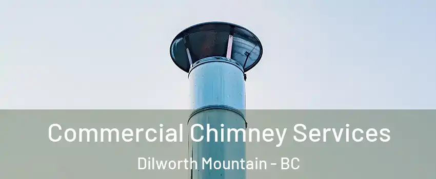  Commercial Chimney Services Dilworth Mountain - BC