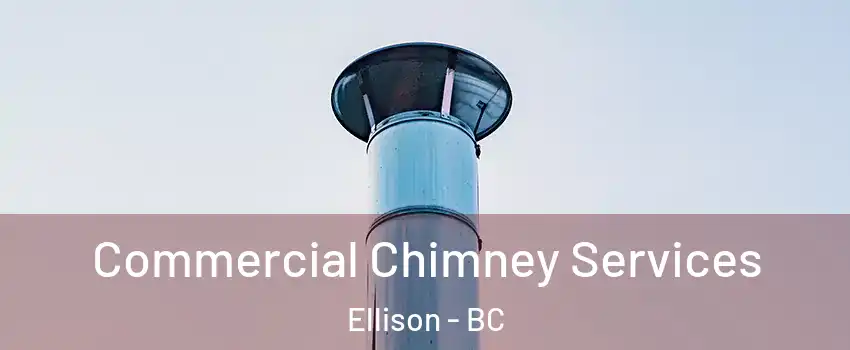  Commercial Chimney Services Ellison - BC