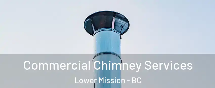  Commercial Chimney Services Lower Mission - BC
