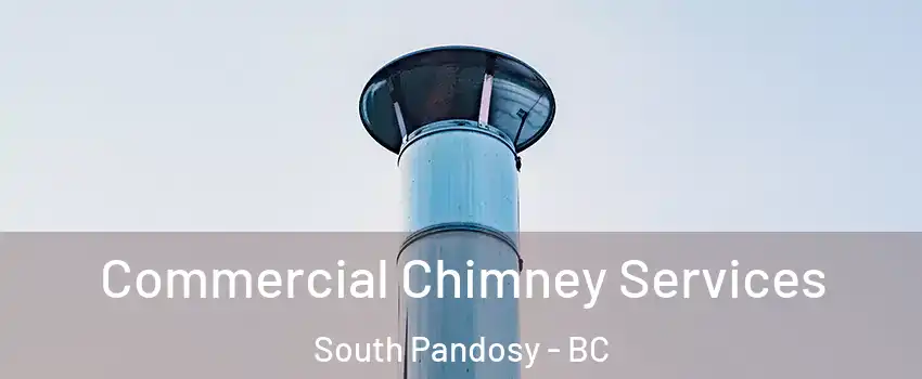  Commercial Chimney Services South Pandosy - BC