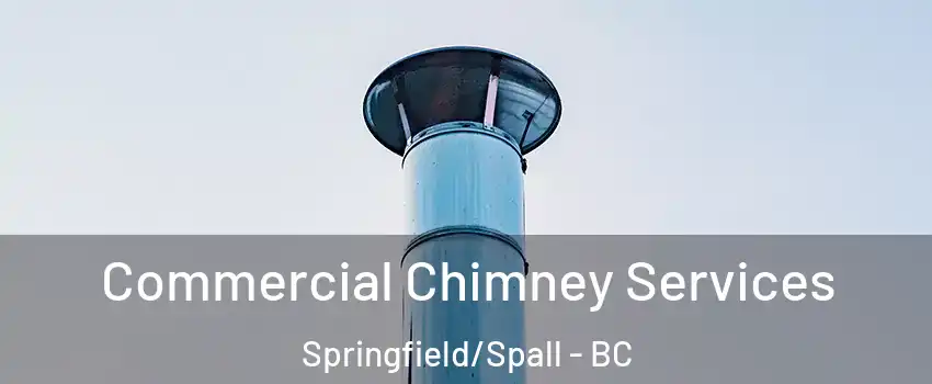  Commercial Chimney Services Springfield/Spall - BC