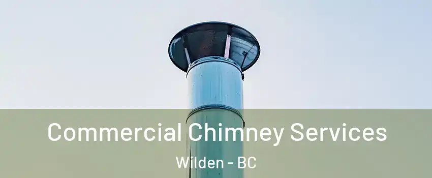  Commercial Chimney Services Wilden - BC