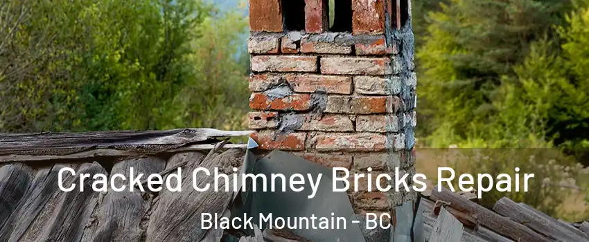  Cracked Chimney Bricks Repair Black Mountain - BC