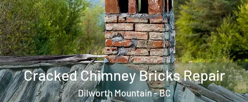  Cracked Chimney Bricks Repair Dilworth Mountain - BC