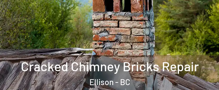  Cracked Chimney Bricks Repair Ellison - BC