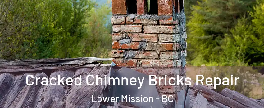  Cracked Chimney Bricks Repair Lower Mission - BC