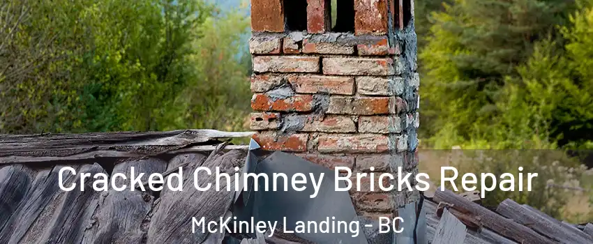  Cracked Chimney Bricks Repair McKinley Landing - BC