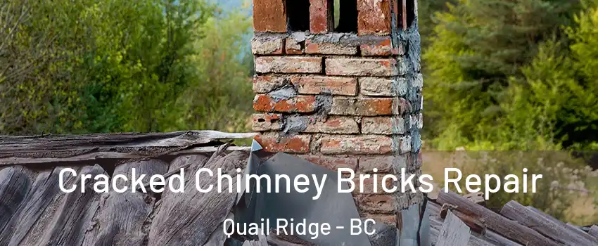 Cracked Chimney Bricks Repair Quail Ridge - BC