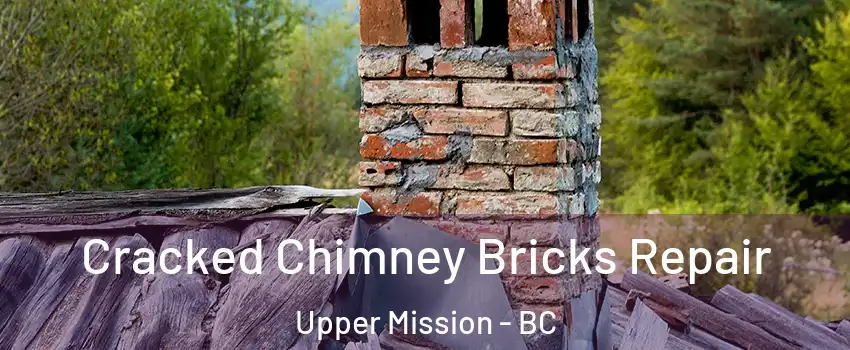  Cracked Chimney Bricks Repair Upper Mission - BC