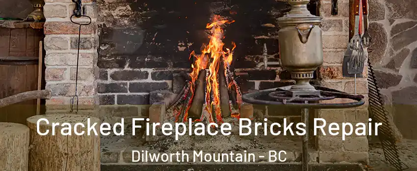  Cracked Fireplace Bricks Repair Dilworth Mountain - BC