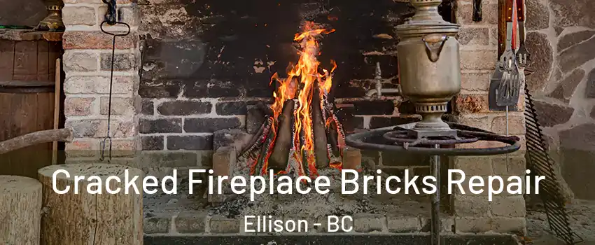  Cracked Fireplace Bricks Repair Ellison - BC