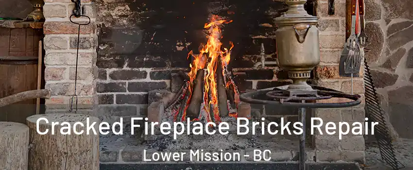  Cracked Fireplace Bricks Repair Lower Mission - BC