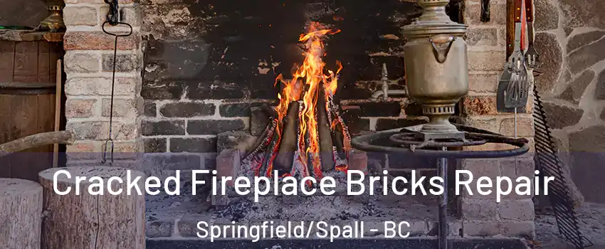 Cracked Fireplace Bricks Repair Springfield/Spall - BC