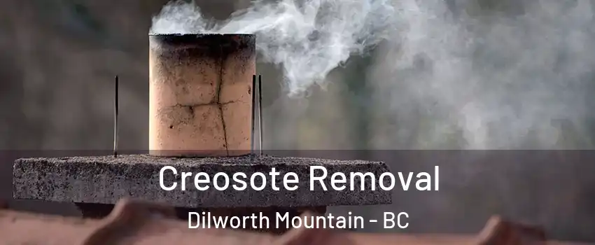  Creosote Removal Dilworth Mountain - BC
