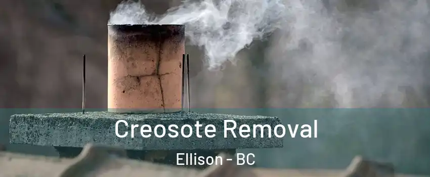  Creosote Removal Ellison - BC
